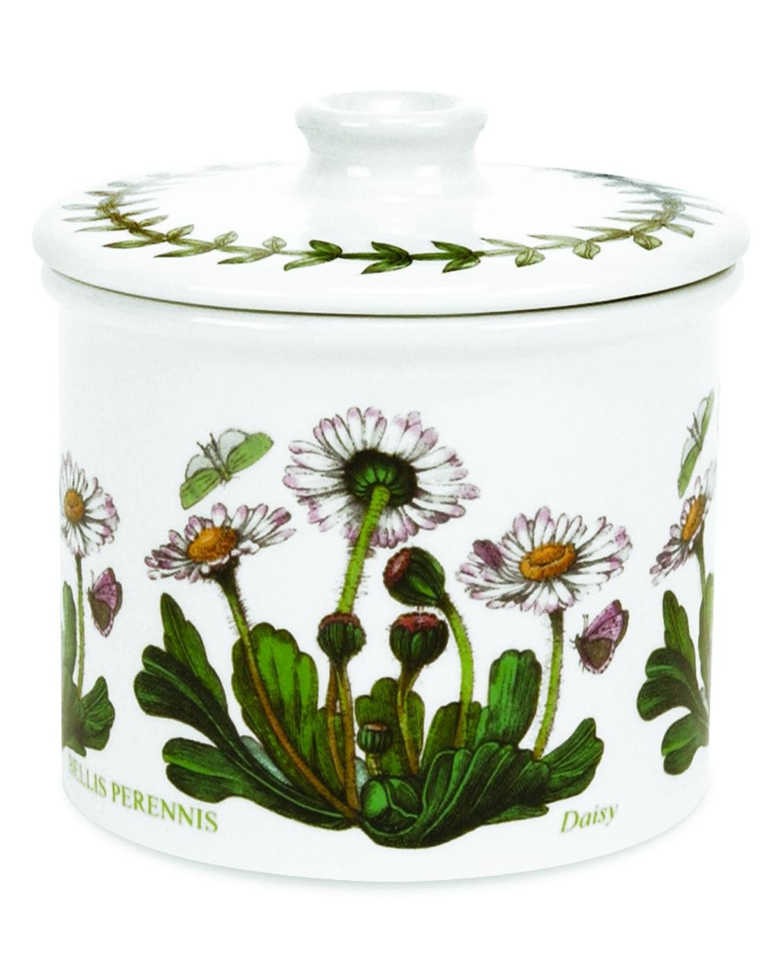 Botanic Garden Drum Shaped Covered Sugar Bowl | 7 Ounce Sugar Bowl with Daisy Motif | Made in England from Fine Earthenware | Dishwasher Safe
