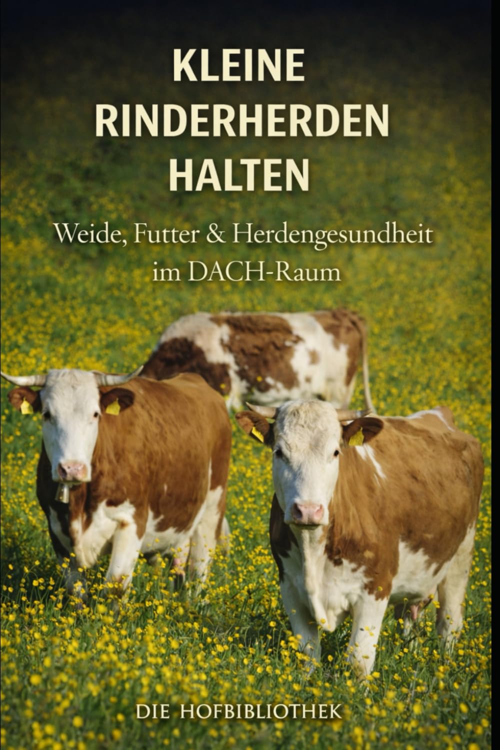 Kleine Rinderherden halten: Weide, Fütterung und Herdengesundheit für kleine Betriebe im DACH-Raum