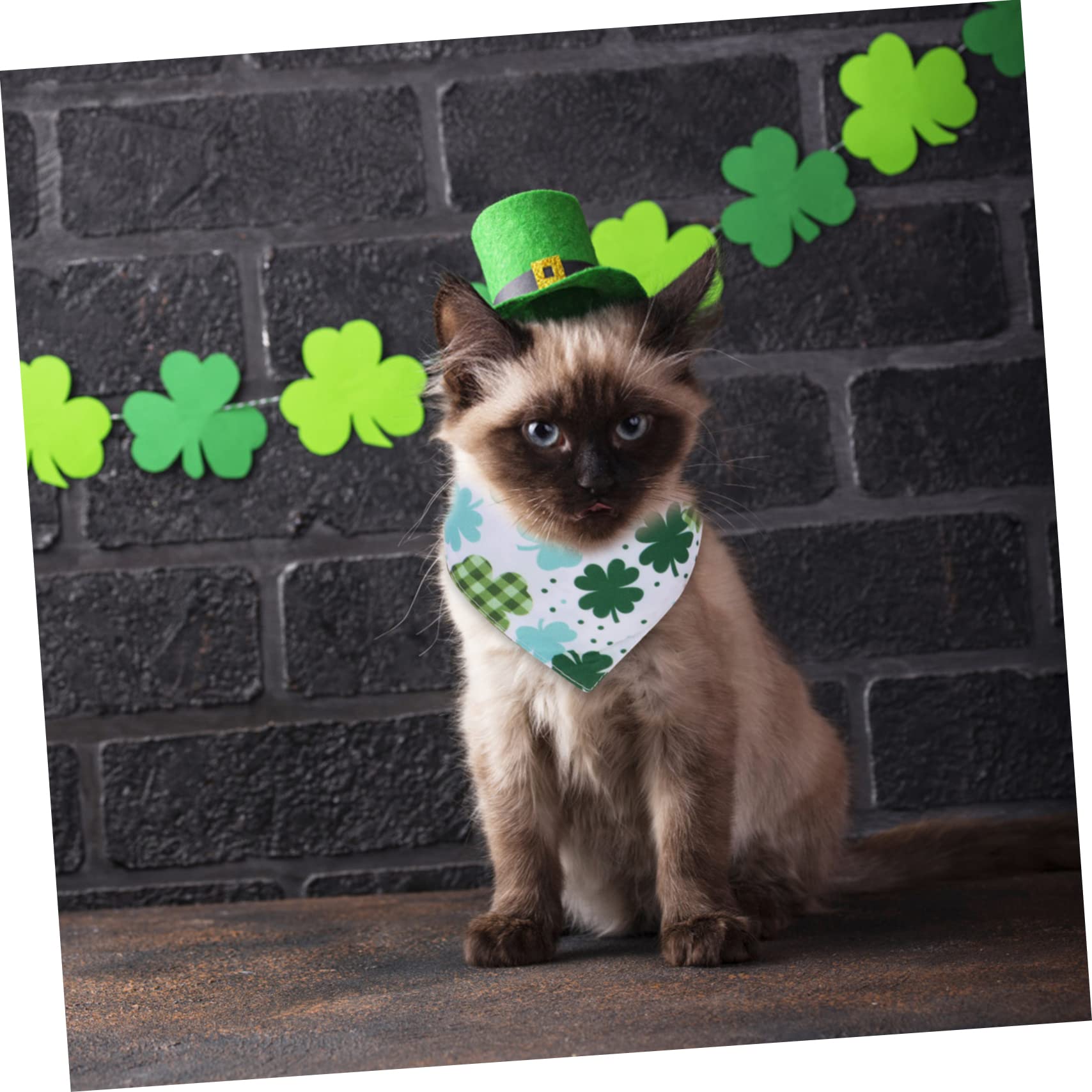 INOOMP 12pièces Bandana Créatif pour Chien Foulard pour Animaux De Compagnie pour Fêtes Sorties Et Photos Design Stylé pour Look Adorable