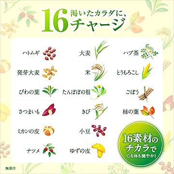 十六茶さん専用 十六茶」の人気商品一覧 | 安い商品を通販サイトから探す - 価格.com