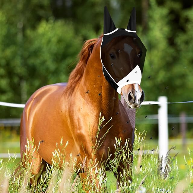 Foto 3 de 8 de Vylyciy Mascara Antimoscas Caballo,Máscara Moscas Caball Malla,Máscarai Anti Moscas para Caballos…