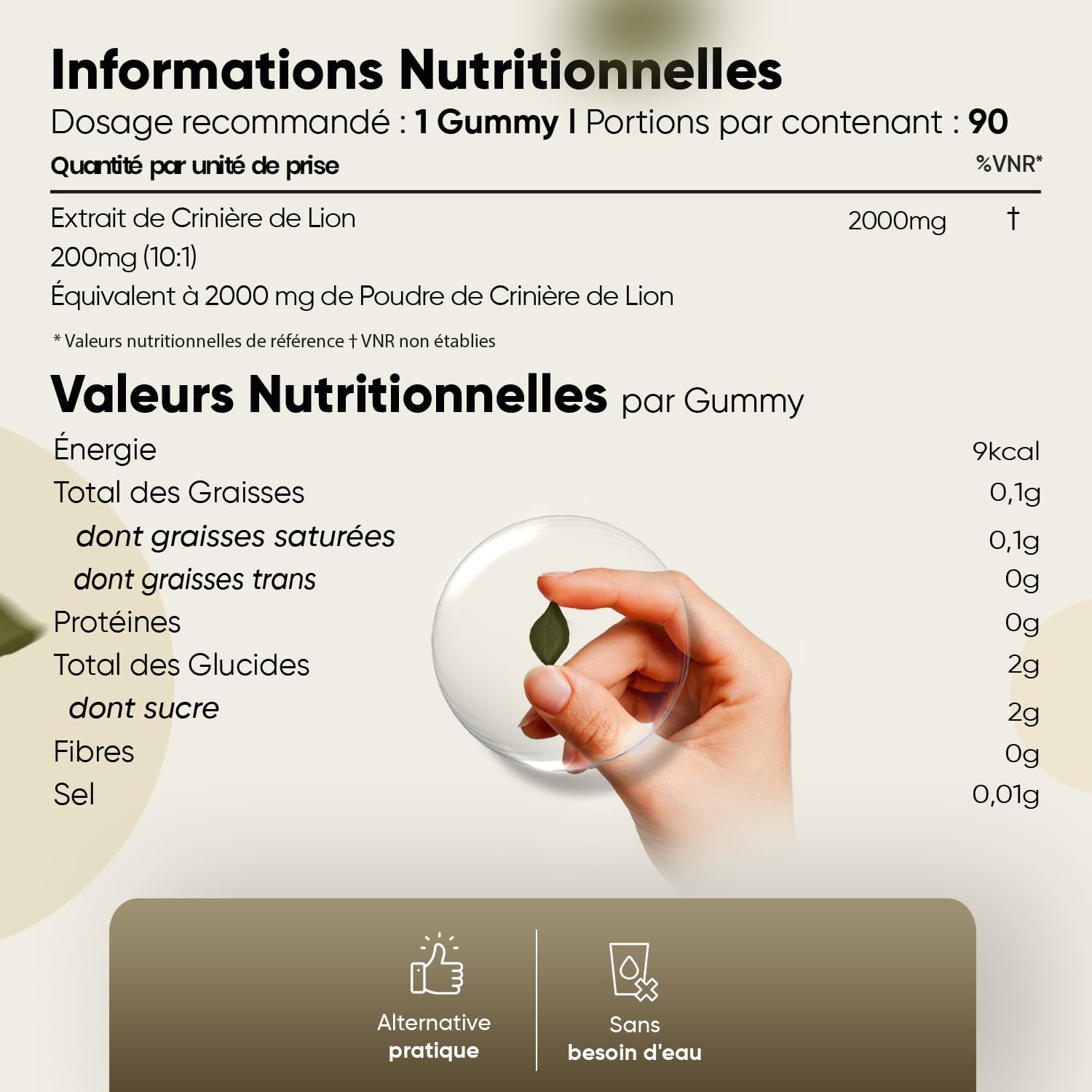 Lions Mane Champignon Gummies, 90 Gummies Vegan à l'Arôme Naturel de Framboise pour 3 Mois d'Approvisionnement, Extrait de poudre d'Hericium Erinaceus 10:1 Champignon Crinière de Lion