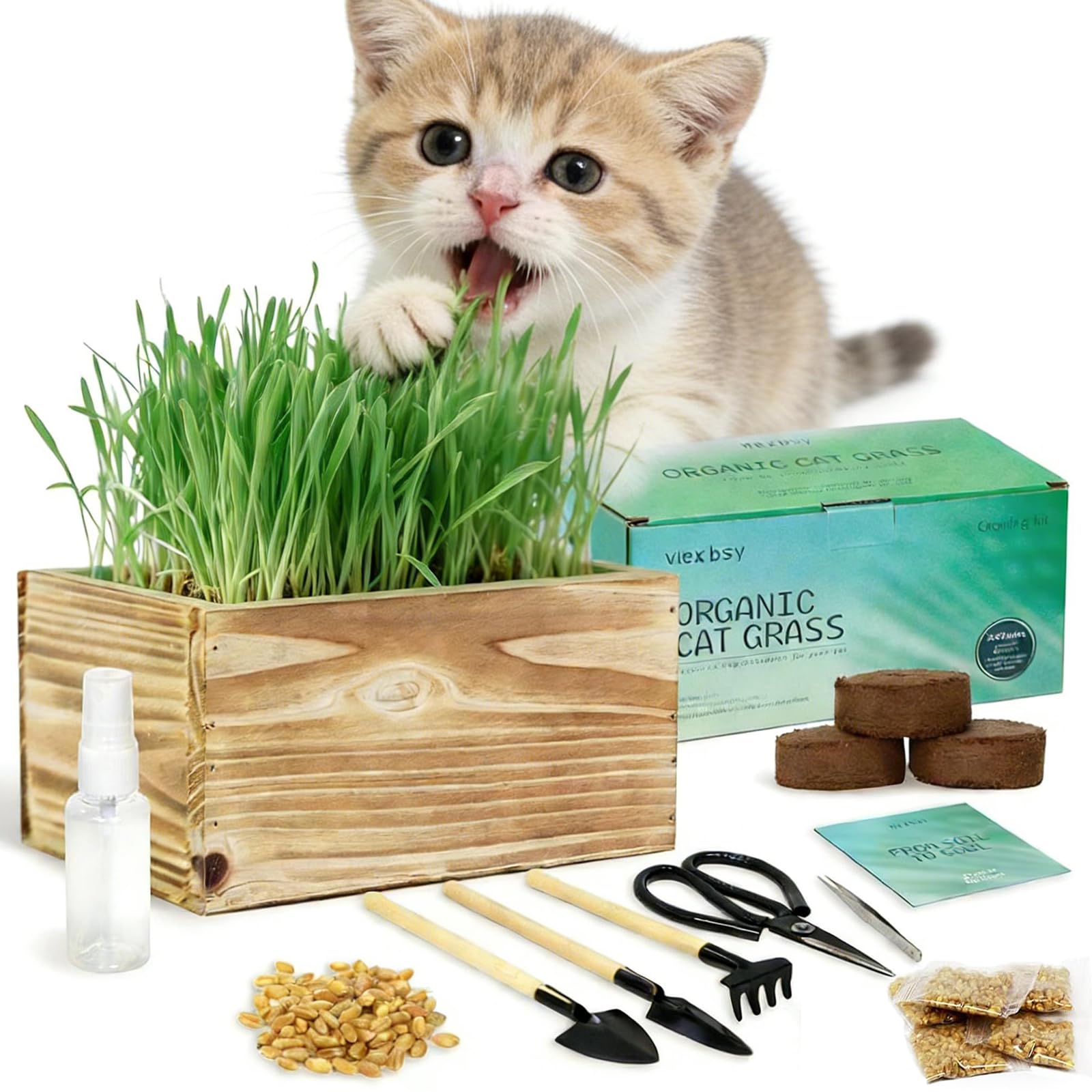 Cat Grass Kit for Indoor Cats, x5 Seed Packs, Complete with Exquisite Wood Planter Soil & Mini Gardening Tools, Good for Pet, Prevents Hairballs, Aids Digestion, Special Gifts for Cat Lovers
