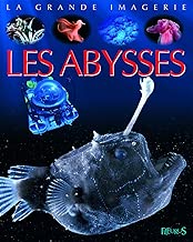 Download Les abysses PDF