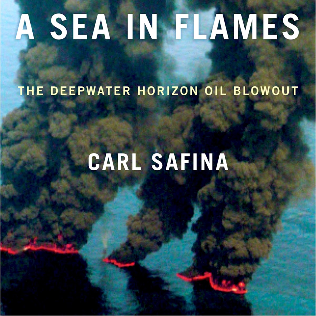 Cover art for A Sea in Flames