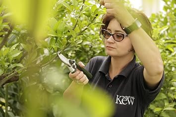 Spear & Jackson 6659KEW Kew Gardens Collection Heavy Duty Bypass Secateurs