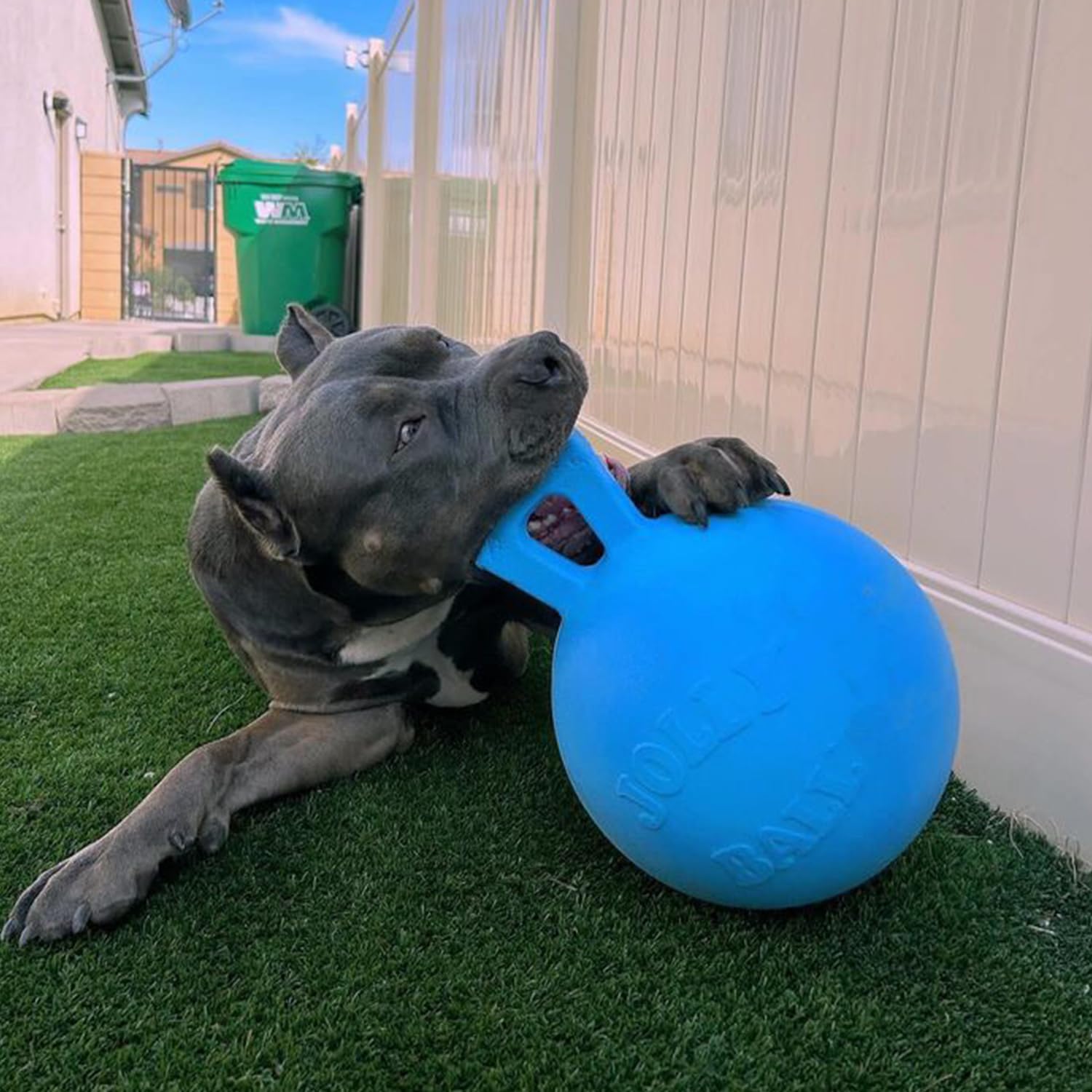 Jolly Pets JOLL046B Hundespielzeug - Tug-n-Toss, 20 cm, hellblau