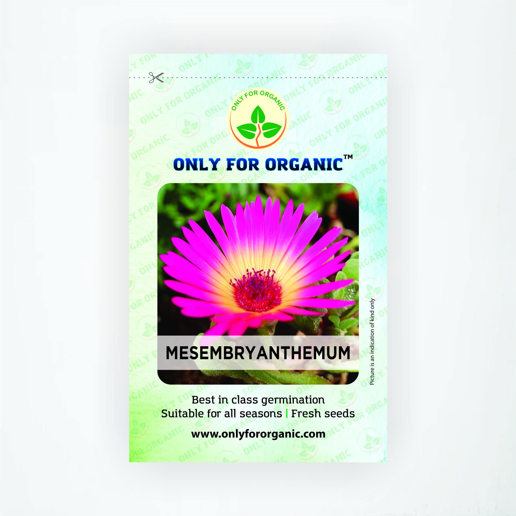 See full amazon price history chart for Only For Organic Mesembryanthemum Seeds (50 Nos) Only For Organic Mesembryanthemum Seeds (50 Nos) (B09Z7ZC8FC) Amazon Price History, Amazon Price Tracker