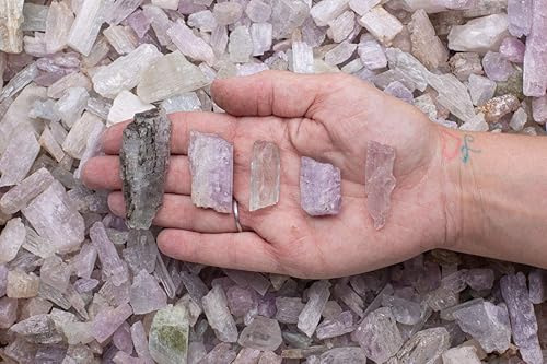 Miniatura 2 de Fantasia Materiales 12 lb Piedras ásperas de kunzita natural de Pakistán