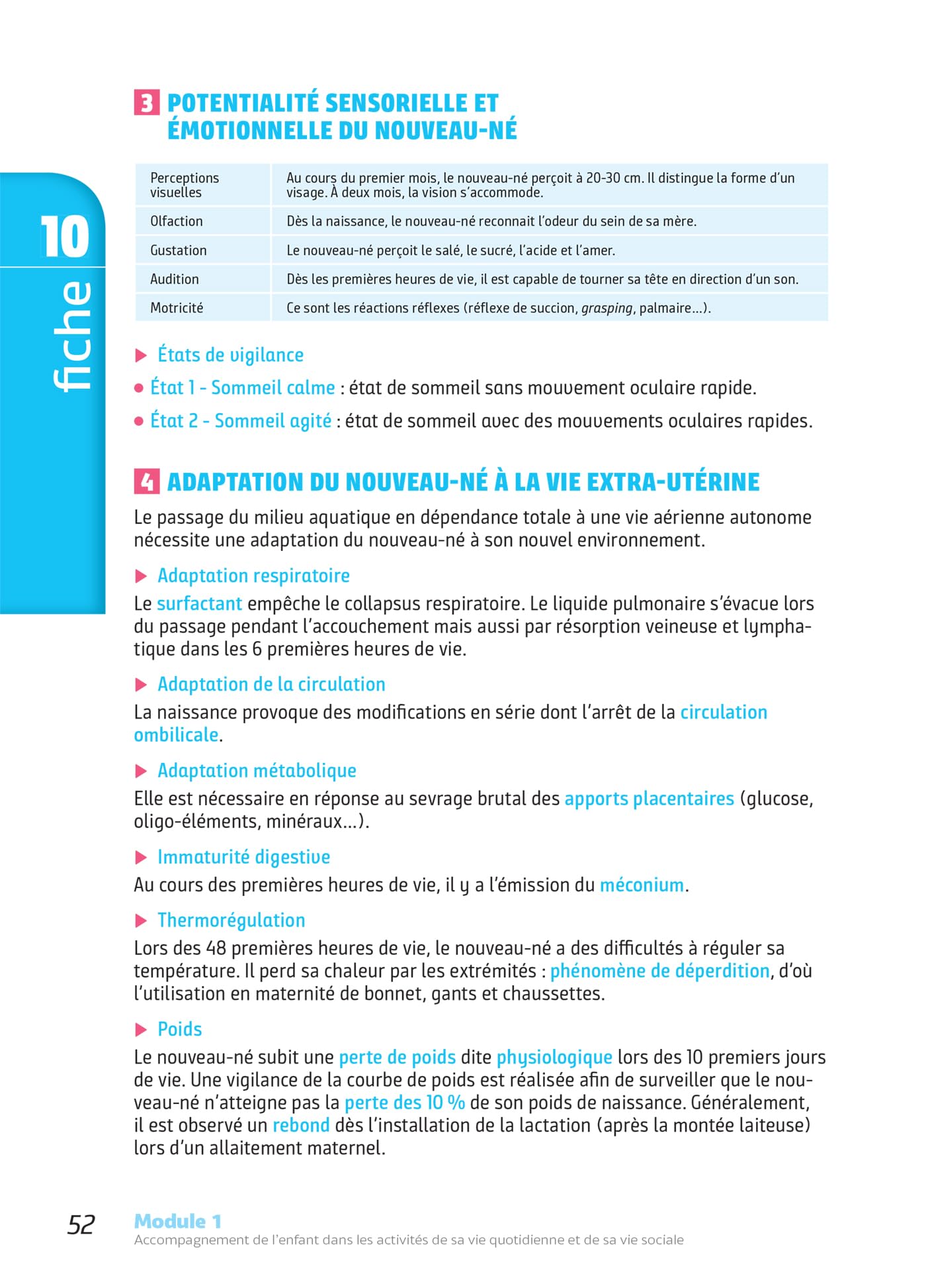 Tout-en-un DEAP - IFAP - Diplôme État Auxiliaire puériculture Programme complet - 2025-2026