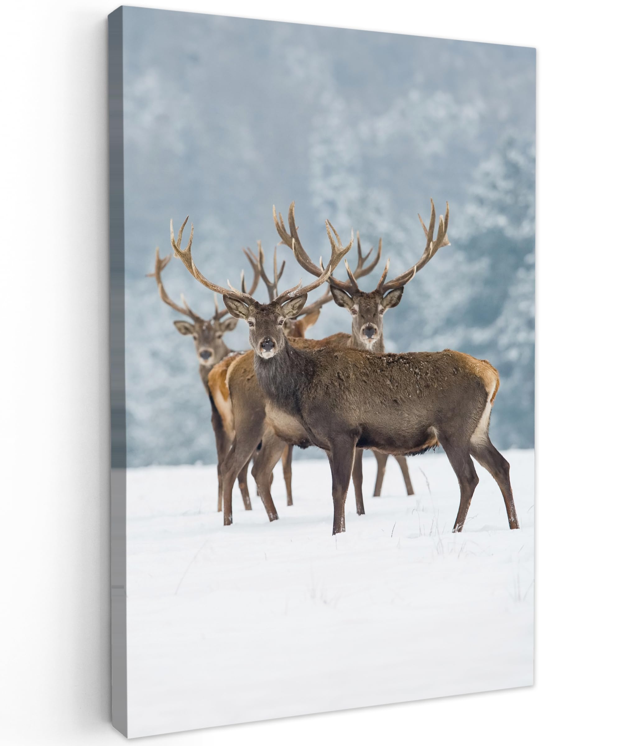 MuchoWow© Canvas Wall Art 16"x24" / 40x60 cm Decor Paintings Print framed on Canvas Pictures for Hallway Deer - Animals - Snow - Winter - Landscape - Nature — image 1