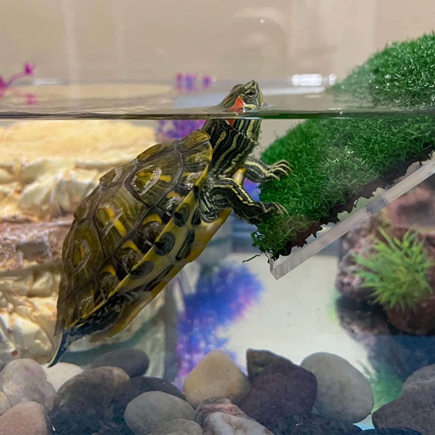 Lawn Turtle Basking Platform Turtle Resting Basking Platform, Simulazione Tartaruga Rampa per Turtle Tank, Reptile L