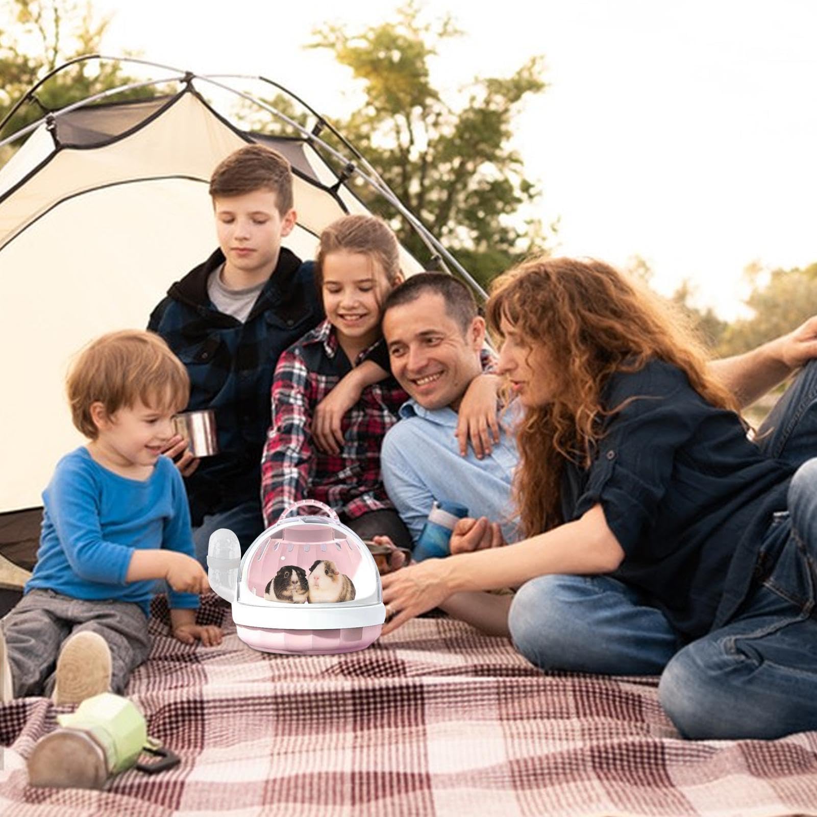 All Things Bunnies Cage Cards - Show Carrier (Metallic Silver)