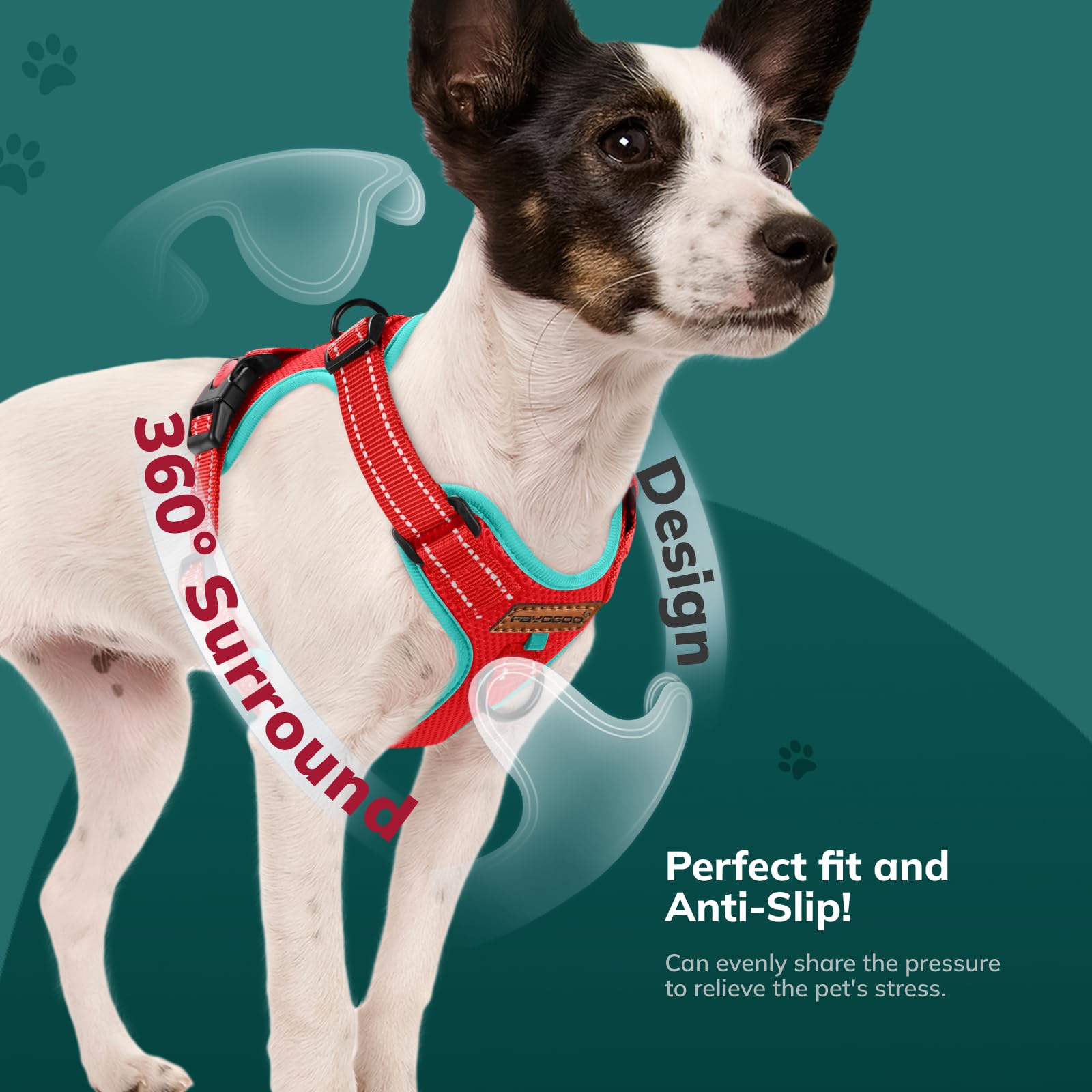 FAYOGOO Pettorina Cane, Pettorina Cane Taglia Media Regolabile, Traspirante Pettorina Cane Taglia Grande con Guinzaglio, Pettorina Antifuga Cane per la Corsa, Passeggiate, Jogging (Rosso, S)