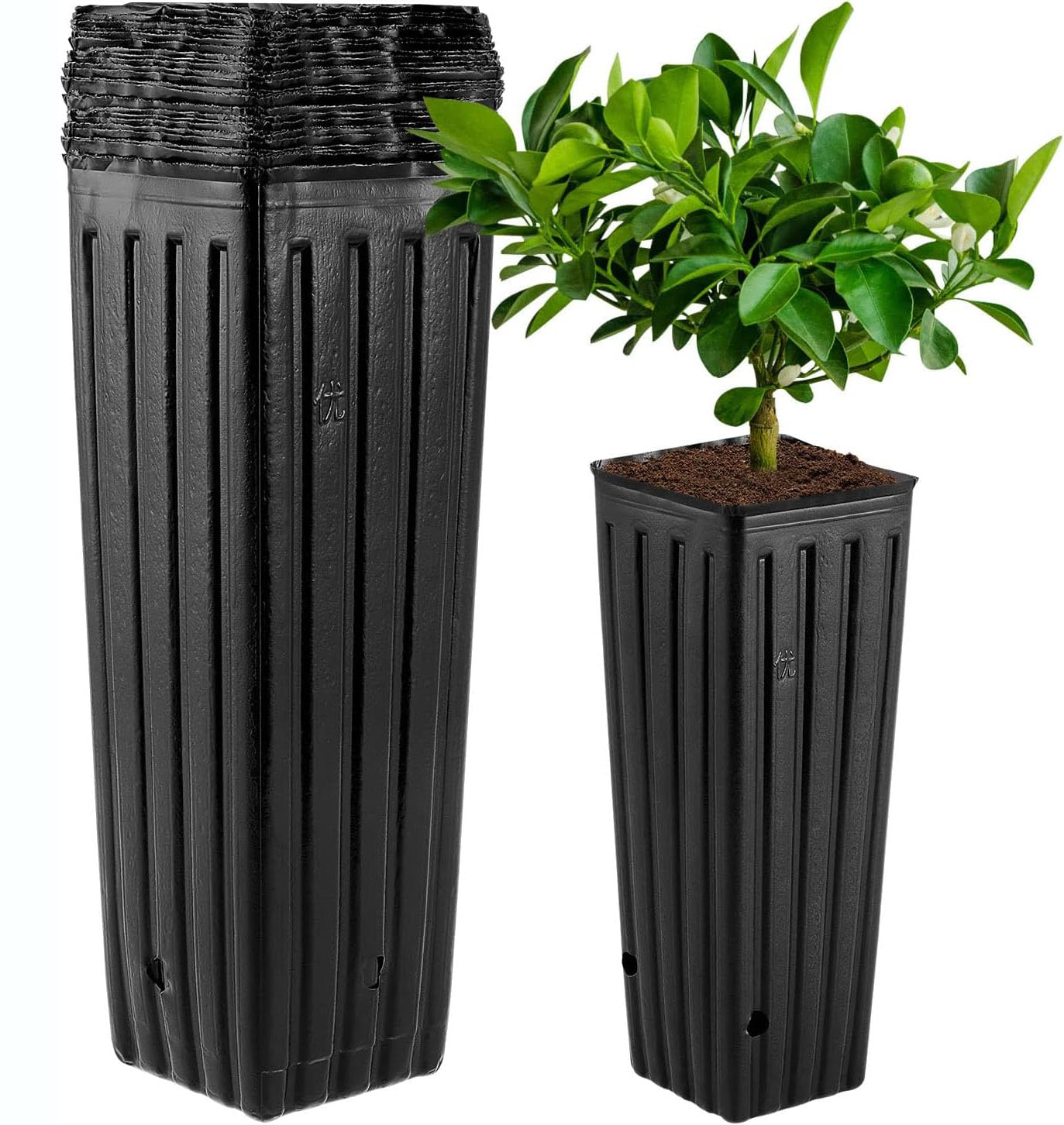 Lot de 50 grands pots d'arbre profonds en plastique avec trous de drainage pour intérieur et extérieur - 24,9 x 12 cm (H x l)