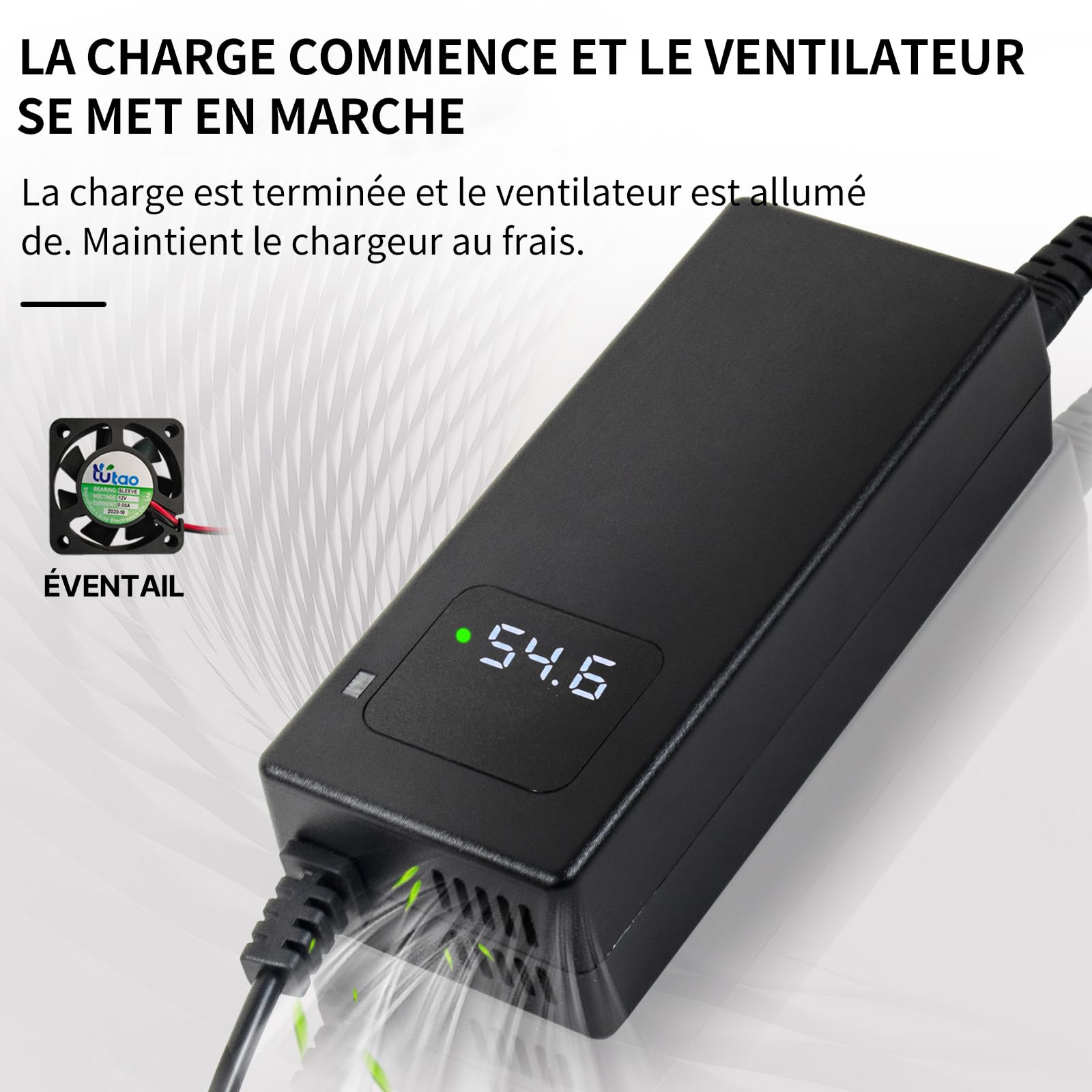 Chargeur Batterie 54.6V 2A, pour Batterie Lithium 48V, avec Affichage LED et Multiples Fonctions de Protection et de réparation, équipé de connecteurs RCA 8mm, DC 5.5 * 2.1mm