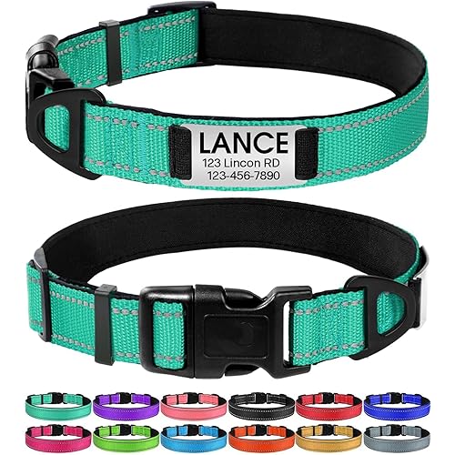Joytale Personalized Dog Collars with Engraved Name Plate, Silent No Jingle Custom Nylon Collar with Fixed ID Tag, Reflective Soft Neoprene Padded Breathable for for Large Dogs, Teal