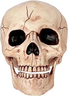 Crazy Bonez Skeleton Skull
