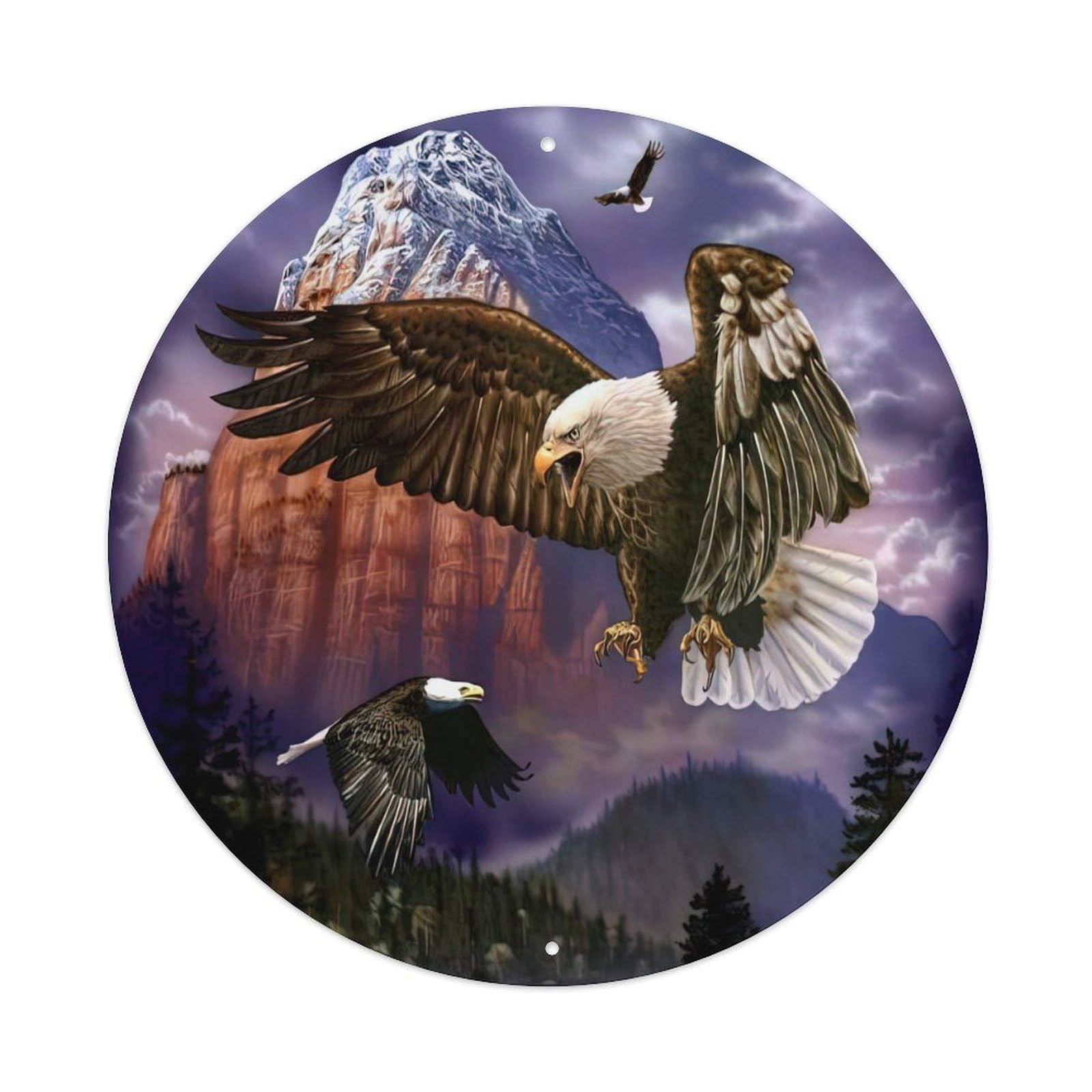 Bald Eagle Aboriginal Power Totem Poster Metal Tin Sign