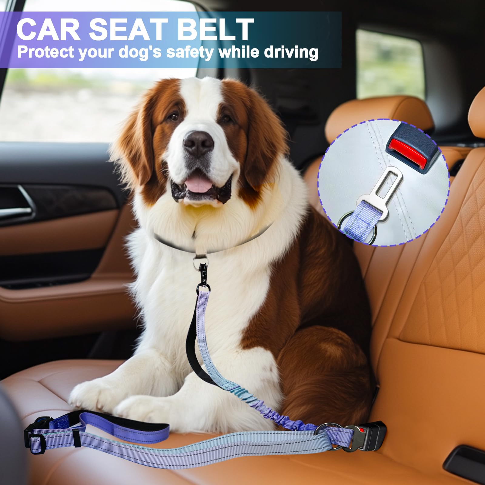 Guinzaglio per cani resistente con moschettone a sgancio rapido e guinzaglio elastico regolabile senza tirare, per passeggiate e addestramento, con cintura di sicurezza per auto, 1,2 - 1,8 m (viola