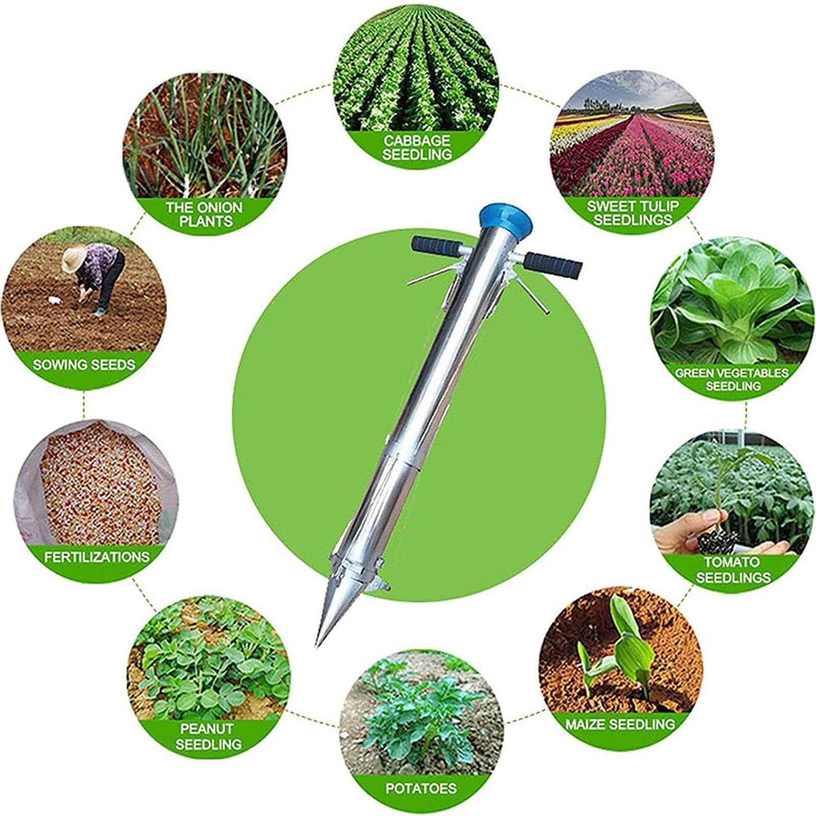 Plantadora de bulbos de Mango Largo, Herramienta para plántulas de Vegetales, trasplantadora de plántulas de Vegetales Multifuncional con Agarre Suave y Profundidad de 12 cm, Conveniente para Planta