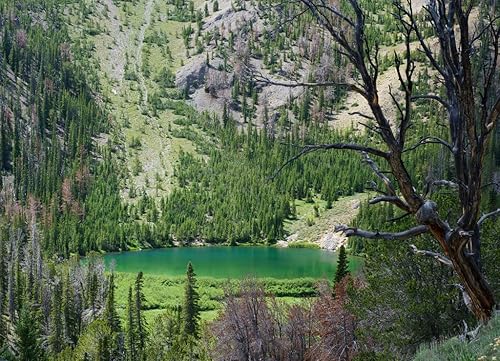 Miniatura 2 de Noah - Rompecabezas de 1000 piezas con vista panorámica a través del bosque de pinos de un lago alpino en las montañas rocosas de Idaho, EE. UU