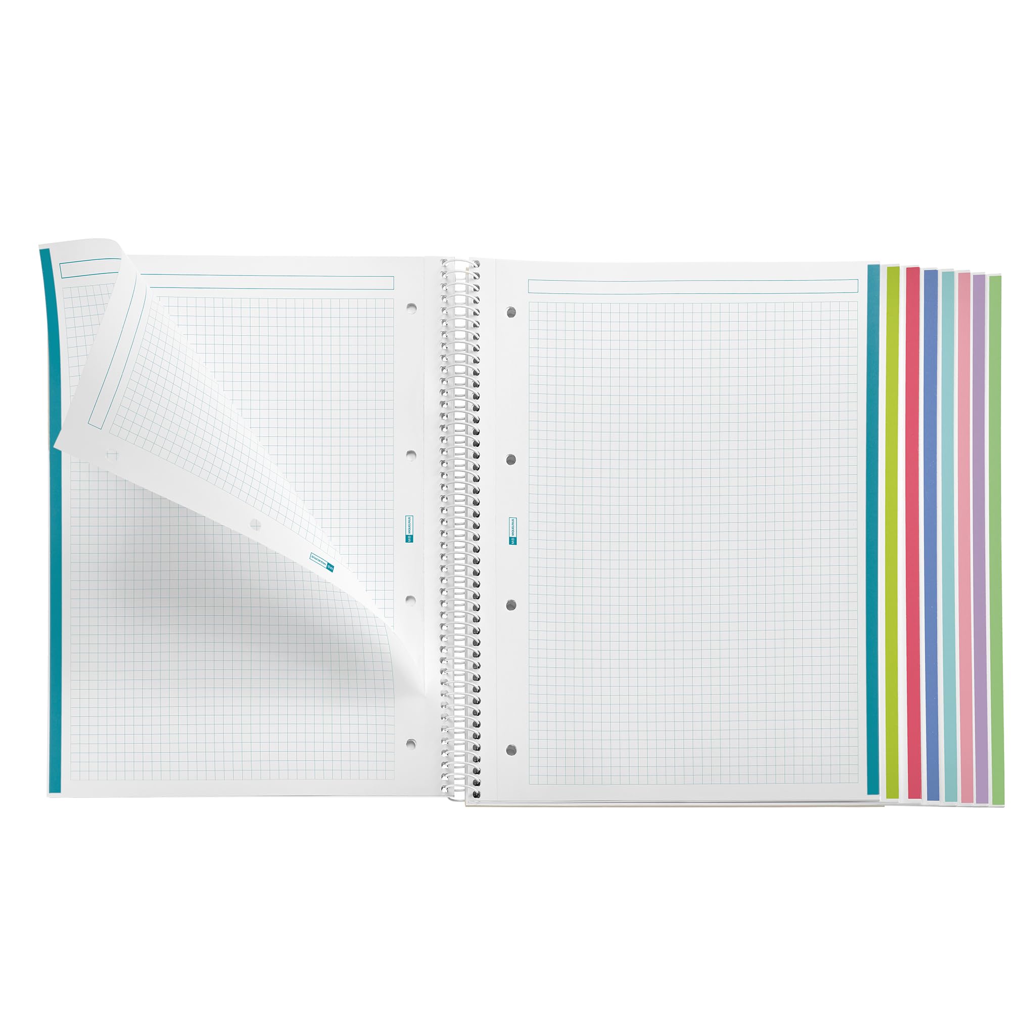 Miquelrius, A4 notebook with 160 micro-perforated squared sheets, 90 g/m² paper, Colour classification notebook - Image 3