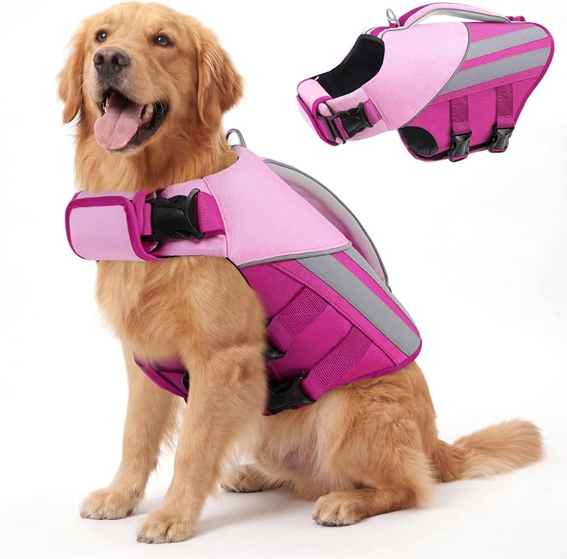 Colete Salva-Vidas para Cães Queenmore com Flutuação e Faixas Refletivas (2XL)
