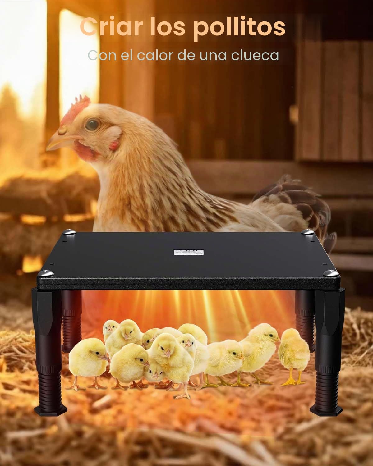 110W Doble Cara Calentador de Gallinero,40x30 cm，5°C-80°C Calentador para Gallinero,0-24H Control Temporizador Calefacción Gallinero para Pollos, Gatitos, Cachorros, Mascotas