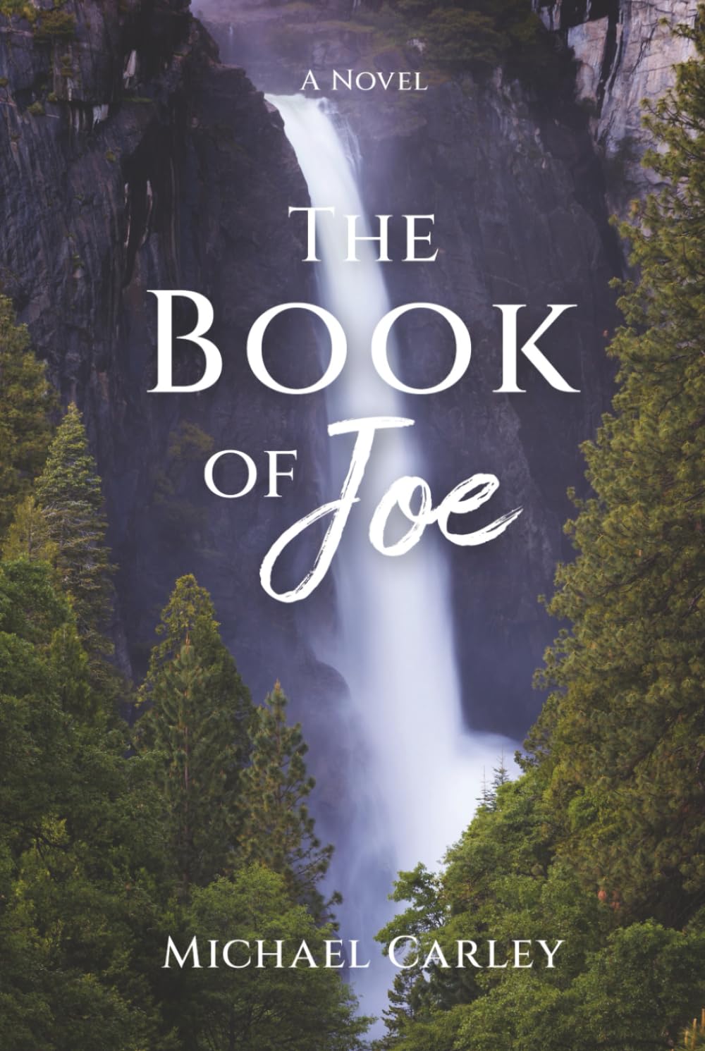 The Book of Joe