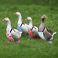 Vista 2 de 6 piezas de pañales para pollos para gallinas, gallos, patos reutilizables lavables con lazada para patitos, gallinas, gansos, aves ajustables