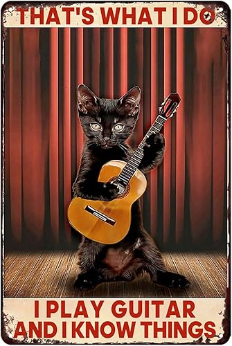 Letrero divertido de guitarra con diseño de gato y guitarra, arte de pared, diseño vintage de metal con texto en inglés Thats What I Do I Play