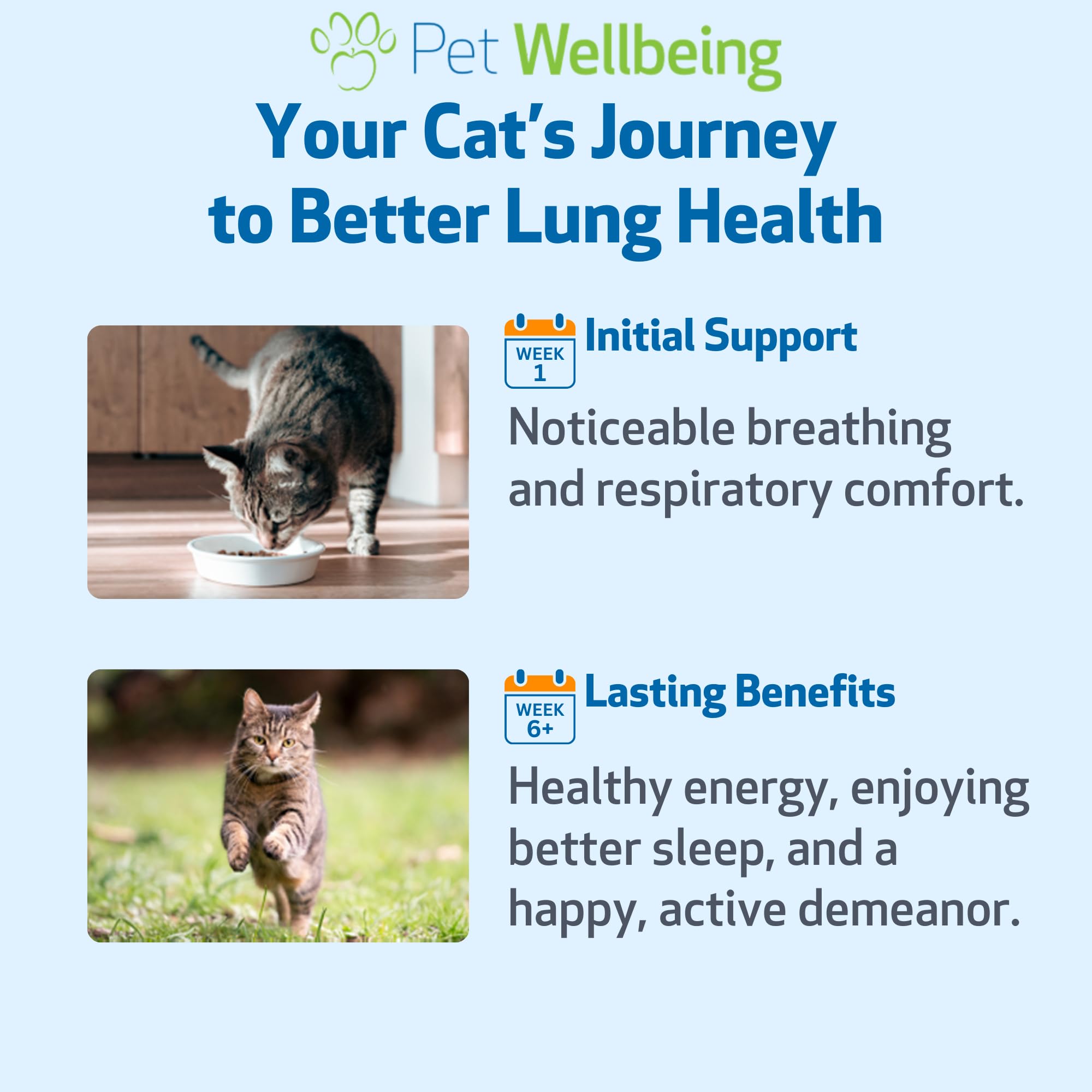 Pet Wellbeing Lung Gold for Cats - Lung & Respiratory Function, 2 oz — Amazon image 4