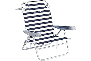 Cozy and Comfortable Sunflower Beach Chairs