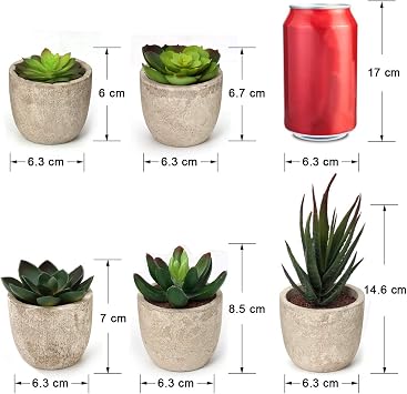 COITEK Set of 5 Artificial Succulent Plants Potted Assorted Decorative Faux Succulent Potted Fake Cactus Cacti Plants with Pots | Faux Succulent Potted Fake Cactus Cacti Plants