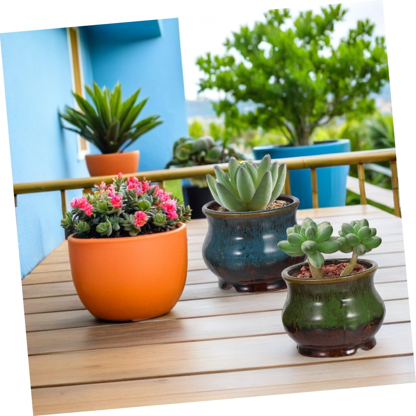 5 Sztuk Ceramicznych Doniczek Na Sukulenty Doniczka Ceramiczna Kolorowa Ceramiczna Doniczka Na Bonsai Doniczki Na Sukulenty Doniczki Ceramiczne