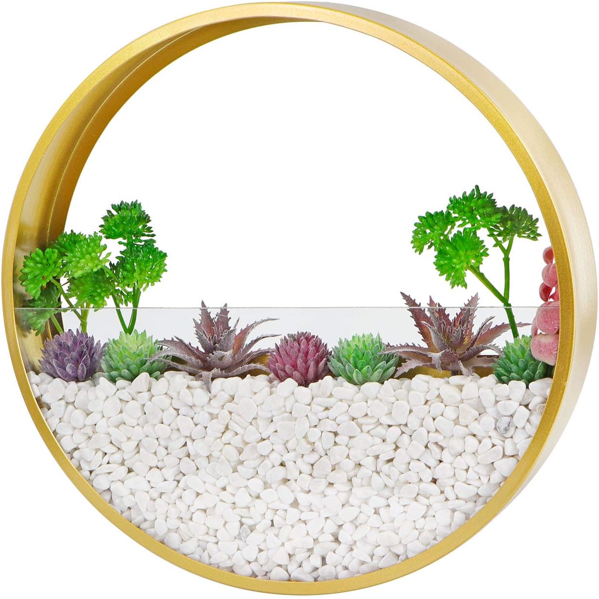Wall Hanging Planter, Pack of 3 Round Metal Glass Wall Planter for Outdoor Indoor Wall Planter Pot (Gold)