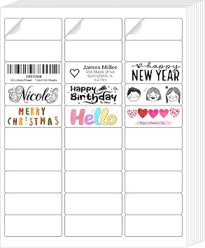 1" x 2-5/8" Address Labels, 100 Sheets, 3,000 Labels | Matte White Sheets Work with Laser and Inkjet Printers, Layout and Permanent Adhesive for Mailing and Organizing