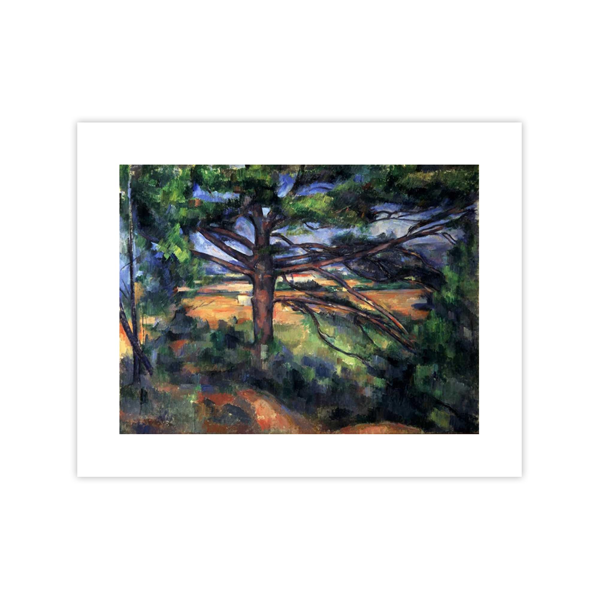 Grand pin proche Aix Paul Cezanne poster 100x75 cm pour decoration salon