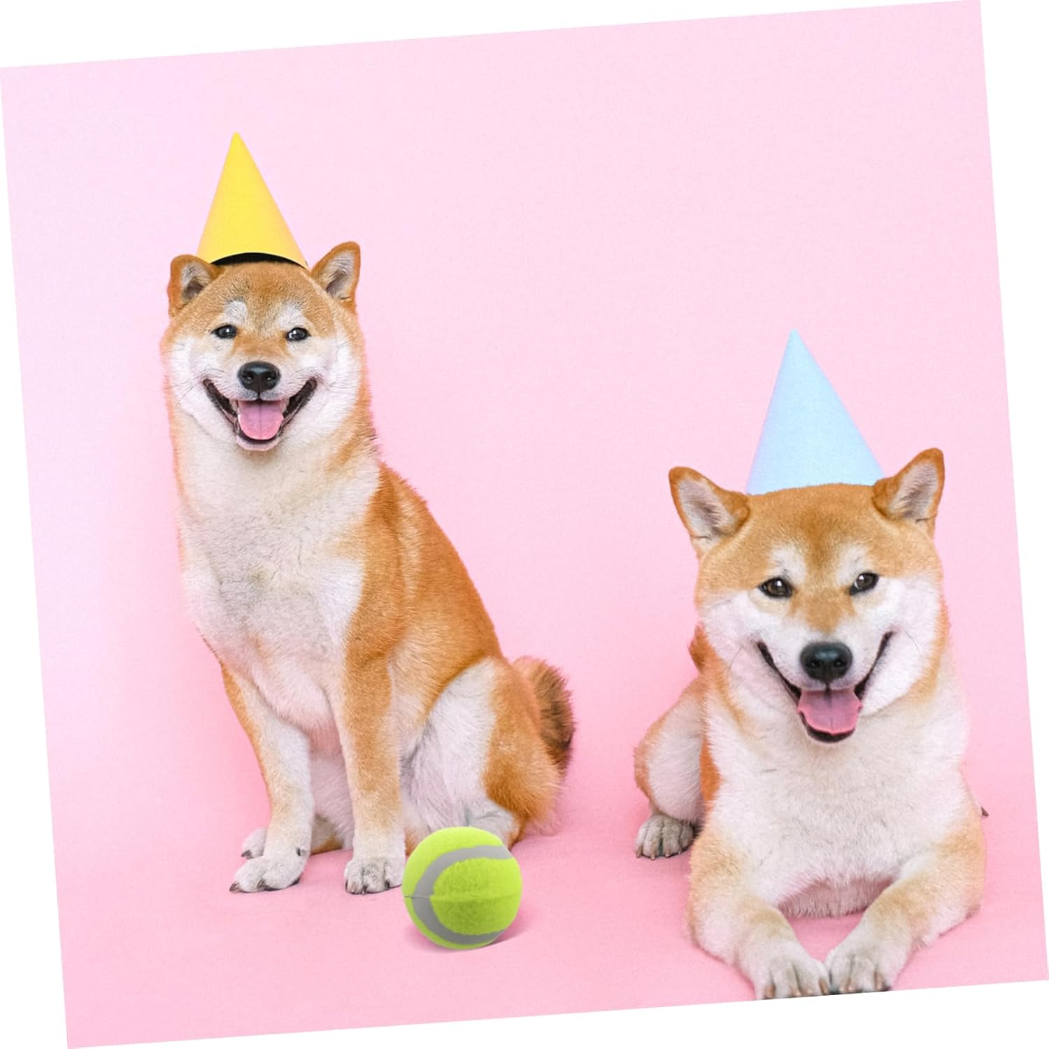 Happyyami 22pcs Dog Tennis Bouncy Pet Chew Toys for Large Medium Small Dogs Elastic Rubber for Interactive Training Play Promotes Physical Activity Engagement