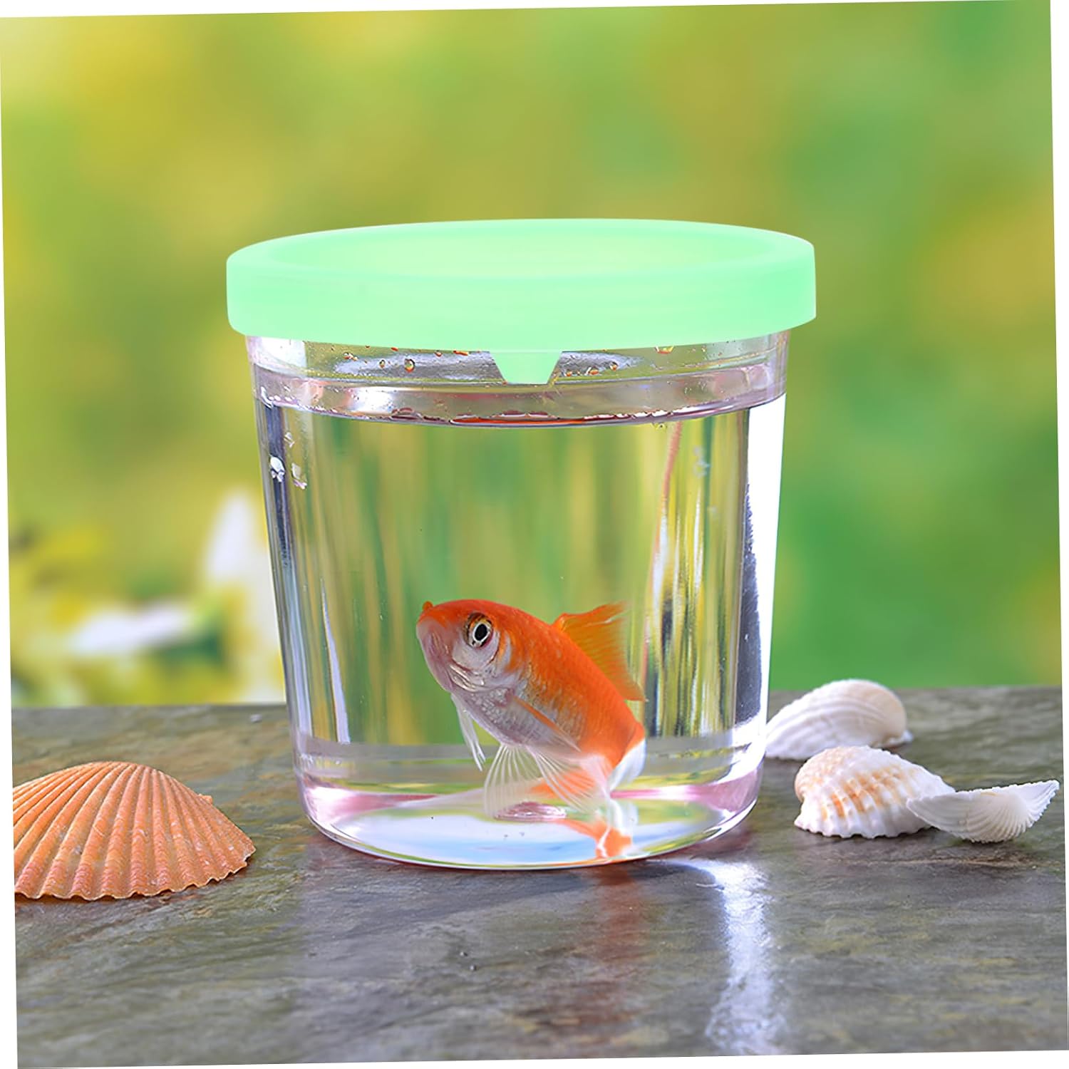 12pcs Jellyfish Cups for Betta Fish and Flower Arranging
