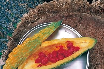 【新品】 peak SPテーブルウェアプレート L TW034 ４枚 Amazon | スノーピーク(snow peak) ステンレス鋼 SPテーブル