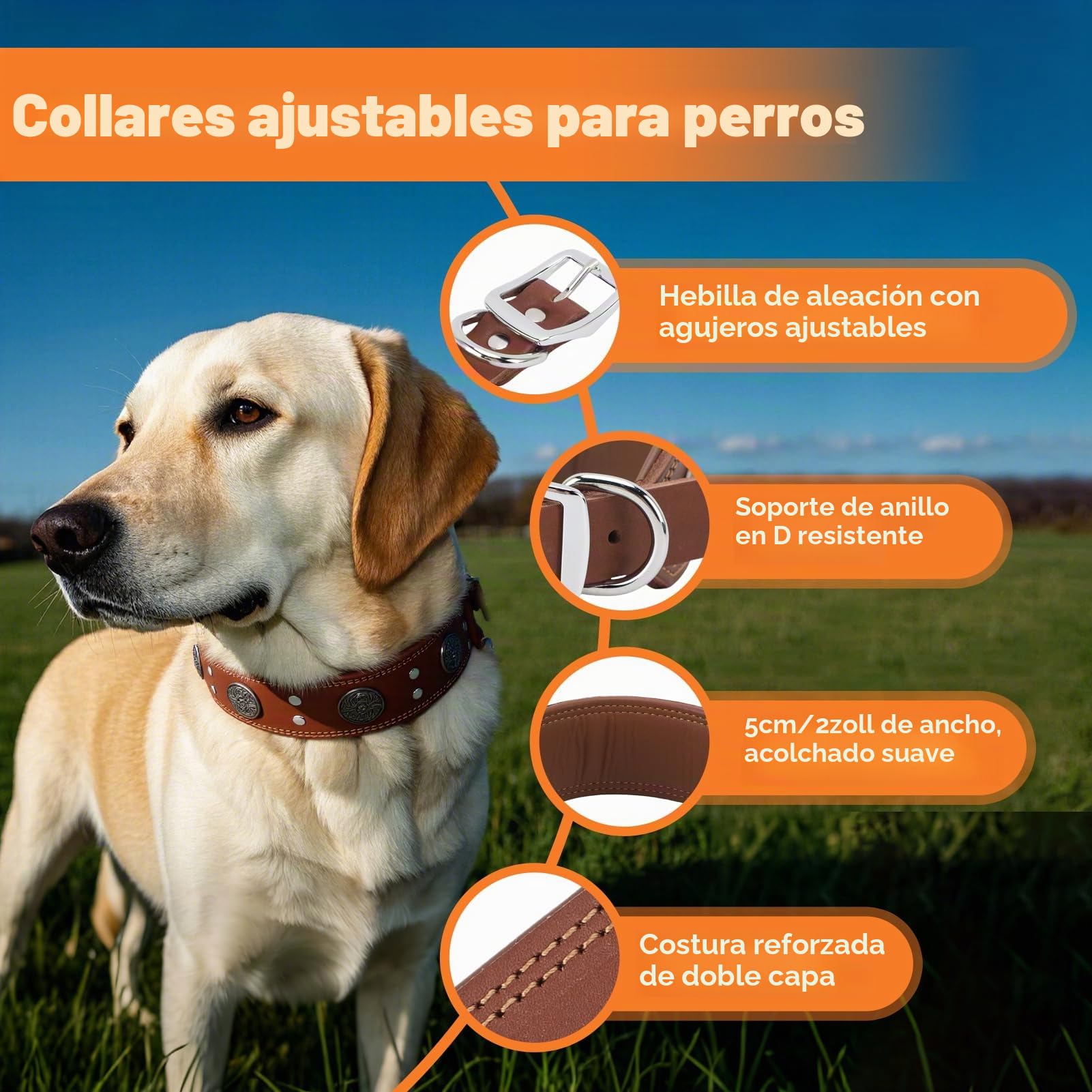 Collar de Cuero para Perros, Collar de Cuero Ancho para Perros de 5cm, Collares de Ajustables con Hebilla metálica, Collar Ancho para Perros de Razas Grandes y Medianas (Talla XL)