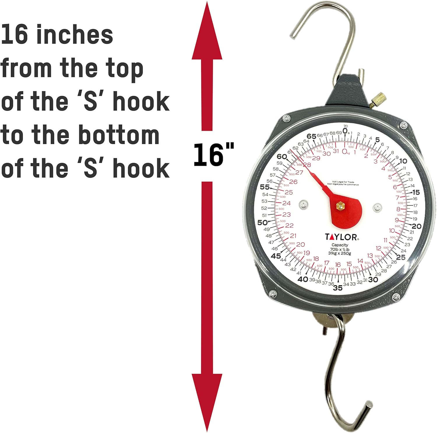 Taylor Dial Style 70-Pound Industrial Hanging Scale