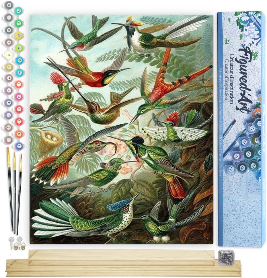 Figured'Art Paint by Numbers Kit for Adults All The Birds 16x20 - Craft Art Painting Rolled Canvas with DIY Wooden Frame