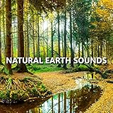 Earth Sounds