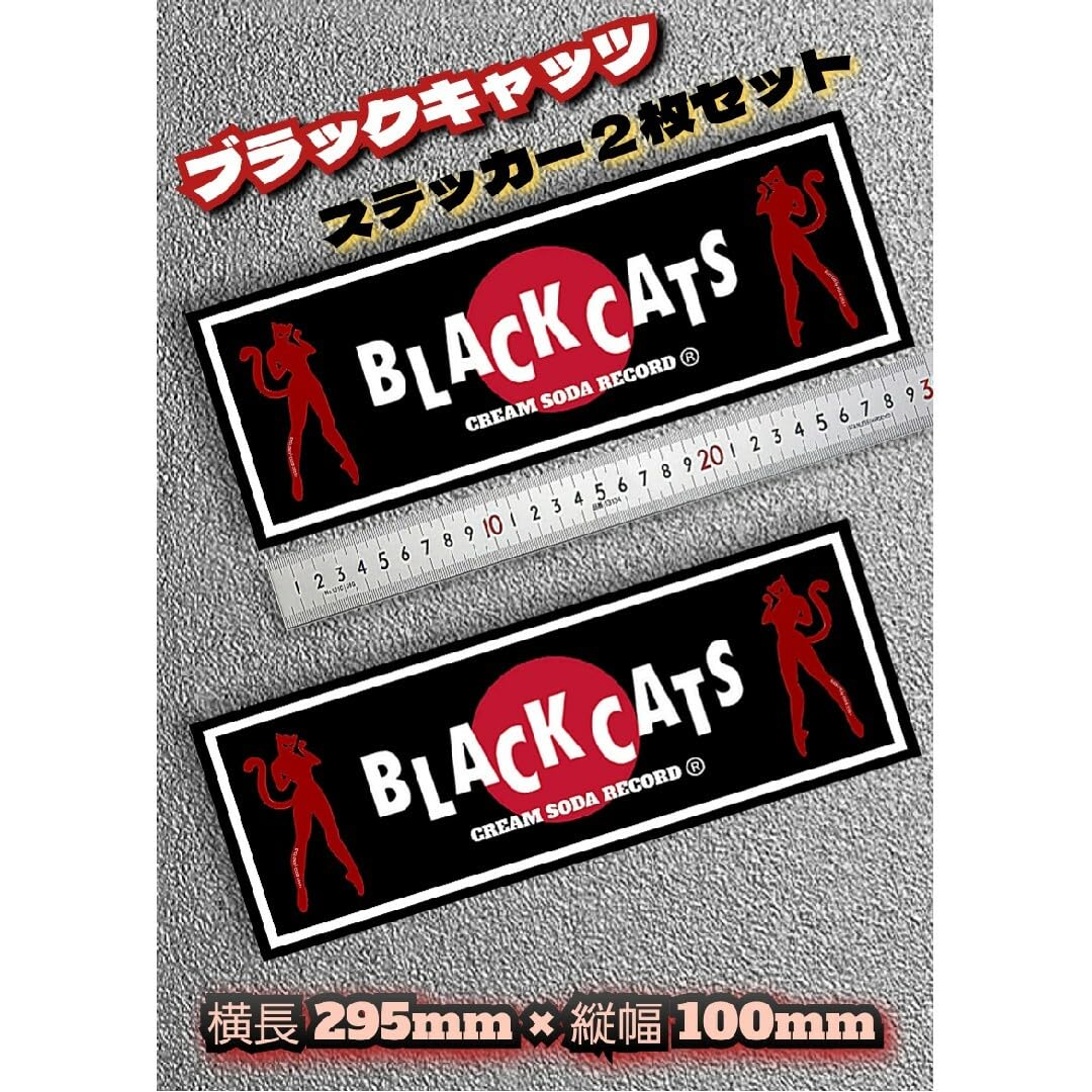 Amazon.co.jp: ブラックキャッツ ミラクルウーマン防水ビッグ  