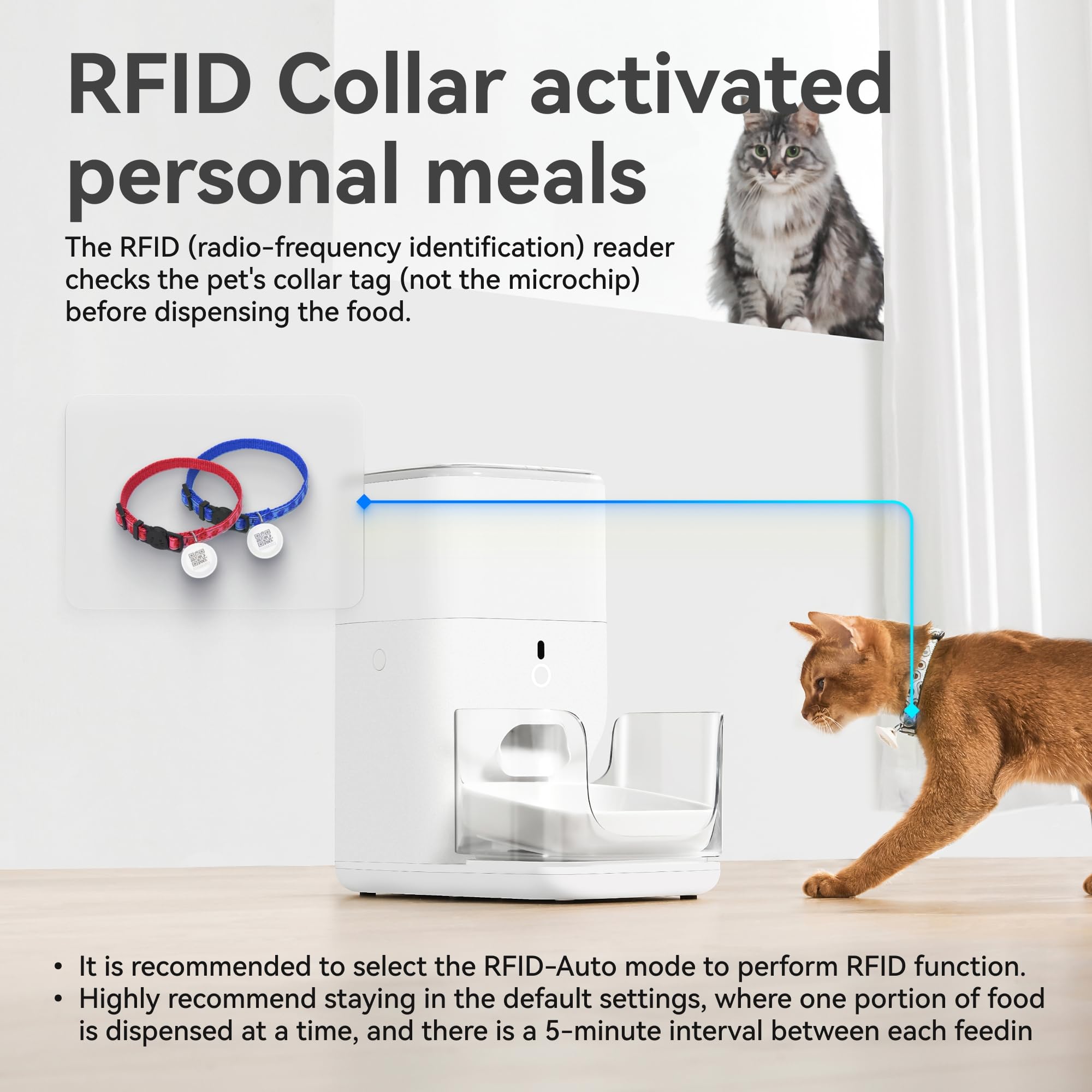 CAT LINK RFID PET Feeder 自動給餌器 猫