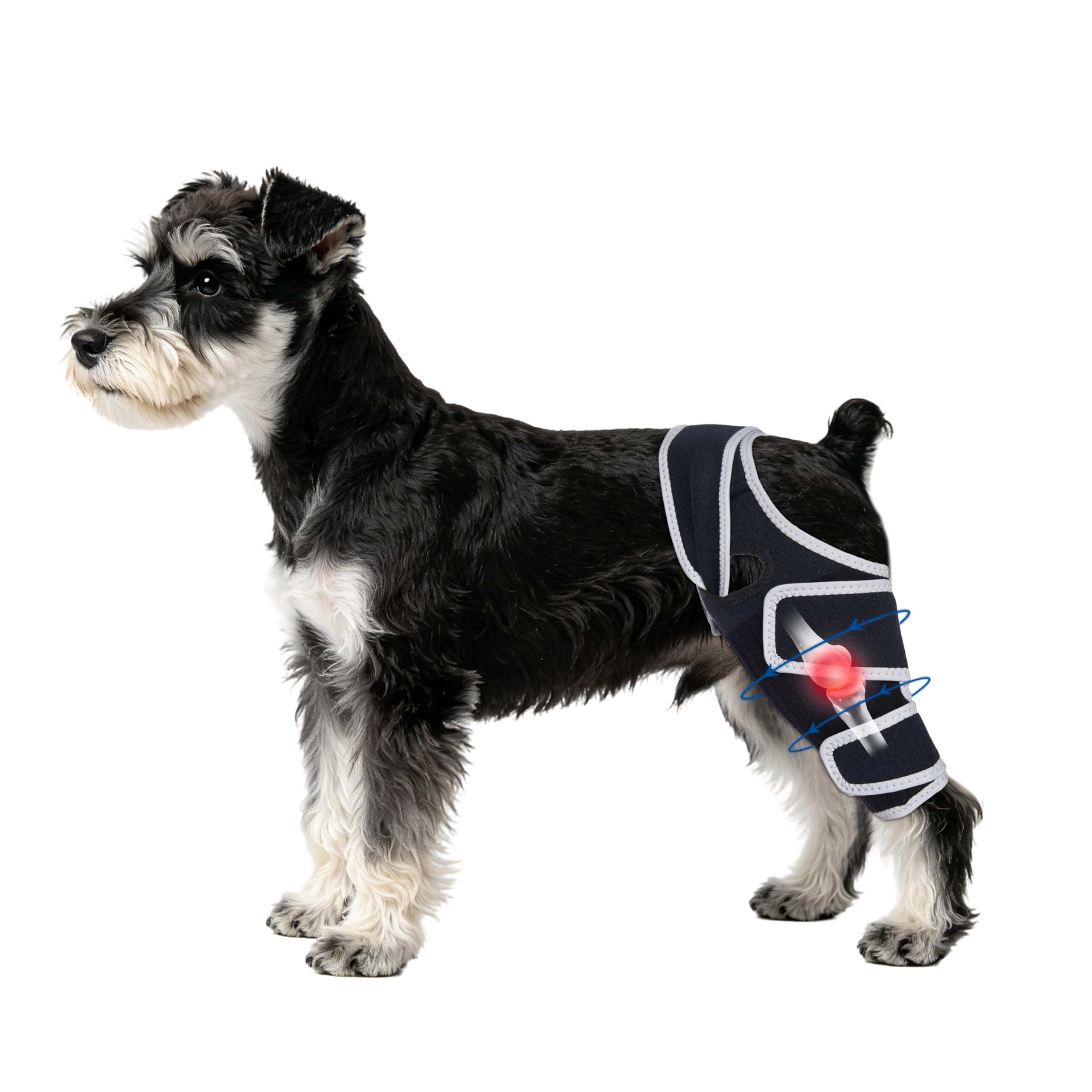 Adjustable Dog Leg Brace for Back Left or Right Leg,XS.
