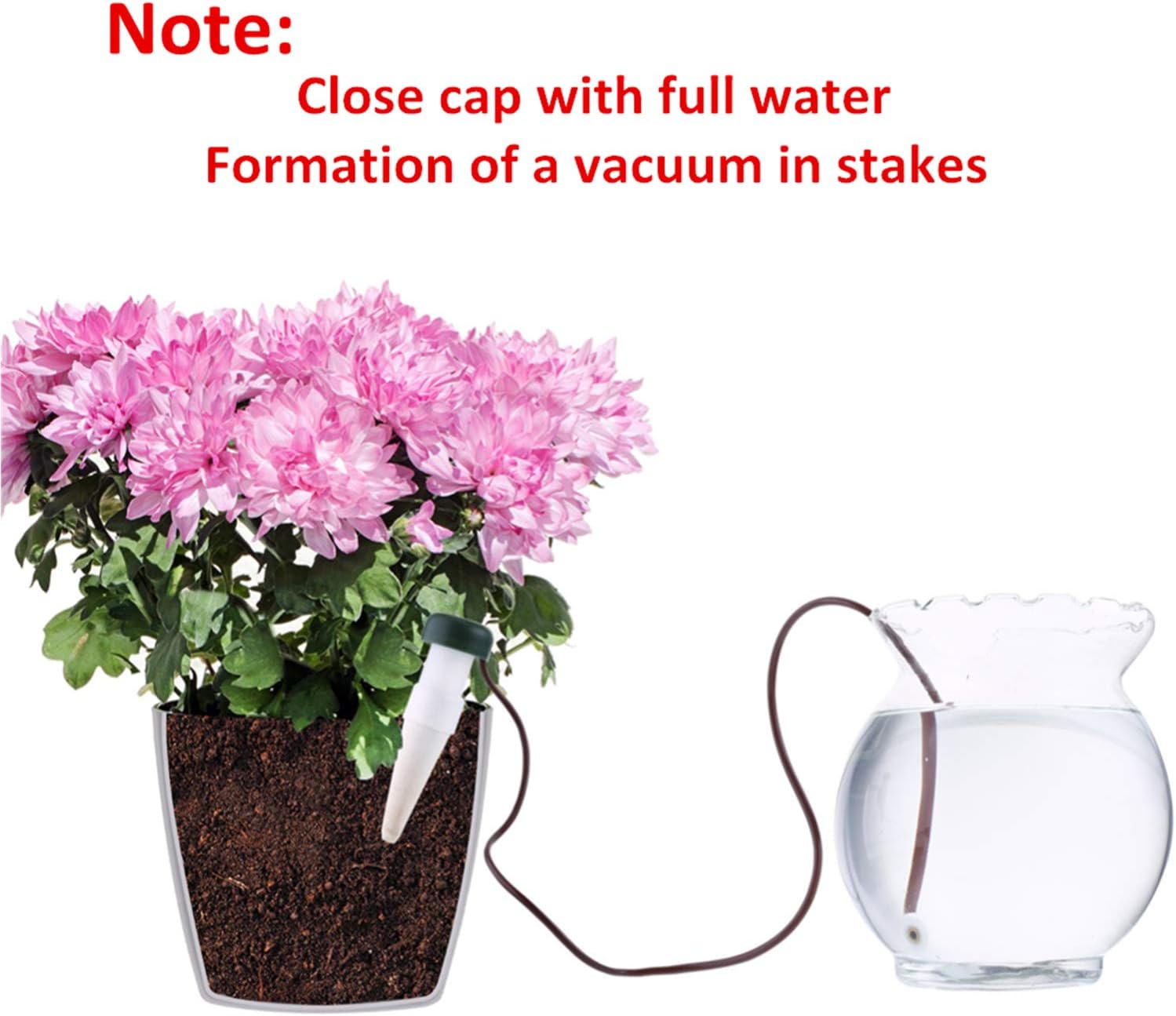 HESTYA Watering Stakes Automatic Watering System, Plant Self Drip Irrigation Slow Release for Indoor or Outdoor Houseplants (8)